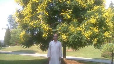 Photo of उज्जवल है हिंदी का भविष्य