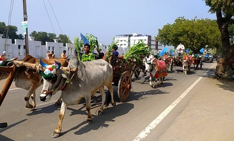 किसान आंदोलन और मोदी सरकार