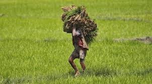 Photo of यूपी किसानों को बिजली बिल में राहत : आधा हो जाएगा बिल